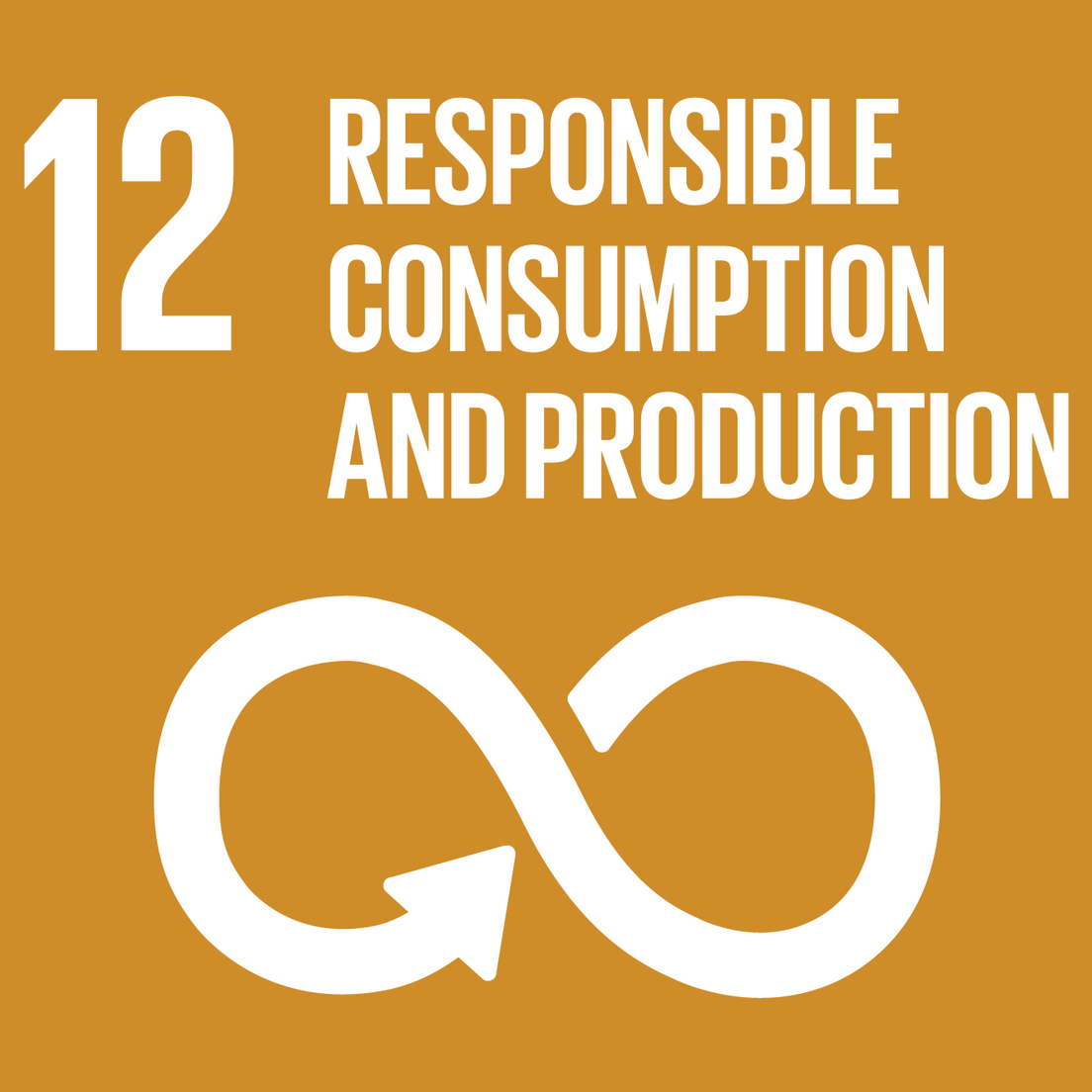SDG 12 — Responsible Consumption & Production